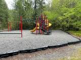 148 Gold Rush Road - Photo 37