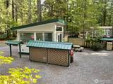 148 Gold Rush Road - Photo 8