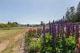 243 Brazil Road - Photo 10