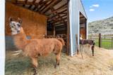 7697 Nahahum Canyon Road - Photo 33