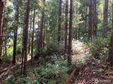 285 Parpala Road - Photo 5
