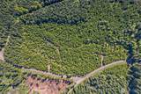 0 Lost Lake Lot 4 Road - Photo 5
