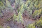 8700 Stangland - Photo 10