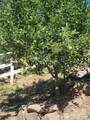 2271 Marble Valley Basin Road - Photo 27