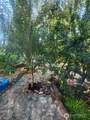 2271 Marble Valley Basin Road - Photo 28