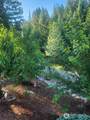 2271 Marble Valley Basin Road - Photo 29