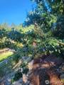 2271 Marble Valley Basin Road - Photo 30