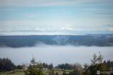 50 Flying Cloud Street - Photo 40