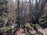 0 NKA Salmon Creek Road - Photo 12