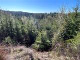 0 NKA Salmon Creek Road - Photo 3