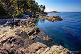 1591 Shark Reef Rd - Photo 27