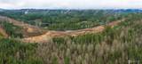 26551 Lake Cavanaugh Road - Photo 11