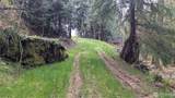 26551 Lake Cavanaugh Road - Photo 8