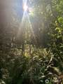 1 Tract Parpala Road - Photo 2