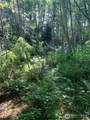 1 Tract Parpala Road - Photo 5