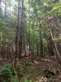1 Tract Parpala Road - Photo 6