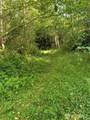 2 Tract Parpala Road - Photo 1