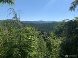 2 Tract Parpala Road - Photo 18