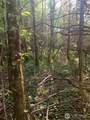 2 Tract Parpala Road - Photo 8