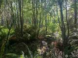 2 Tract Parpala Road - Photo 9