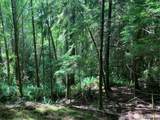 3 Tract Parpala Road - Photo 9