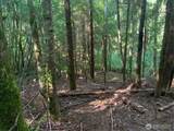 4 Tract Parpala Road - Photo 6