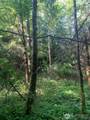 4 Tract Parpala Road - Photo 9