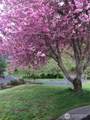 108 Long And Winding Road - Photo 30