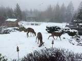 108 Long And Winding Road - Photo 38