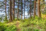 104 Barn Owl Trail - Photo 20