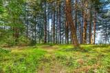104 Barn Owl Trail - Photo 22