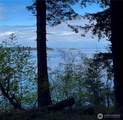 104 Barn Owl Trail - Photo 37