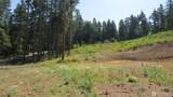 1481 Casassa Road - Photo 16