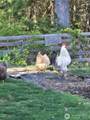 646 Fors Road - Photo 29
