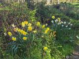 646 Fors Road - Photo 37