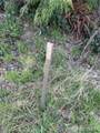 22 XX Forrest Street - Photo 9
