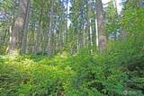 20825 Old Mill Road - Photo 8