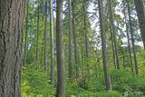 20825 Old Mill Road - Photo 10