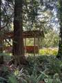 412 High Bluff Drive - Photo 18