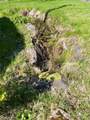 11 Turtle Dove Lane - Photo 8