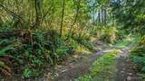 37218 Loki Bluff Drive - Photo 15