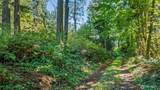 37218 Loki Bluff Drive - Photo 16