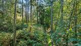 37218 Loki Bluff Drive - Photo 9