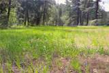 799 Twisp River Road - Photo 16