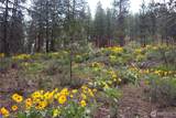 799 Twisp River Road - Photo 17