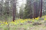 799 Twisp River Road - Photo 21