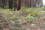 799 Twisp River Road - Photo 24