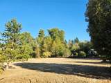 13711 Vickery Avenue - Photo 39