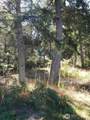 0 Raccoon Point Road - Photo 8