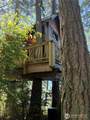 137 xx Madrona Road - Photo 14